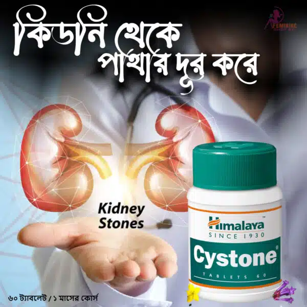 Himalaya Cystone Tablet-60 pcs - Image 4