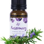 Rosemary Essential Oil-10ml