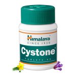 হিমালয়া সিস্টোন ট্যাবলেট (Himalaya Cystone Tablet)