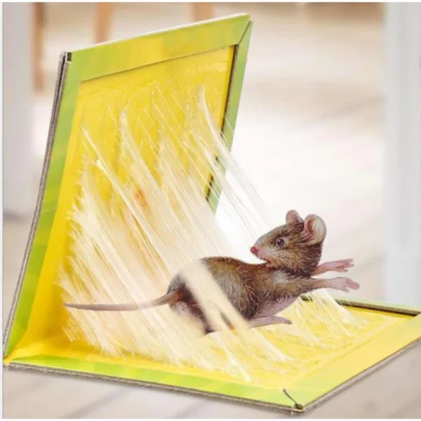 Plan Life Mouse & Rat Bond Trap (Green Killer – China) – Strong Sticky Glue Trap for Effective Rodent Control - Image 2