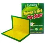 Plan Life Mouse & Rat Bond Trap (Green Killer – China) – Strong Sticky Glue Trap for Effective Rodent Control - Image 6