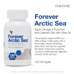 Forever Arctic Sea - Image 2
