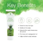 Forever Aloe-Jojoba Shampoo - Image 2