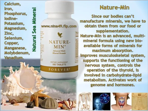 Forever Nature-Min - Image 3