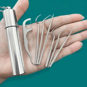 4 piece portable titanium stainless steel toothpick set with keyring