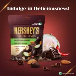 Hershey's Exotic Dark chocolate bar imported from India 30 gram x2
