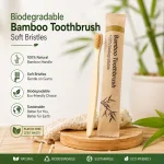 Biodegradable bamboo toothbrush with soft bristles