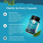 Nootropic capsules with bacopa L-tyrosine and B vitamins for focus