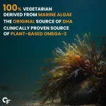Vegan omega-3 supplement from marine algae bottle 120 capsules