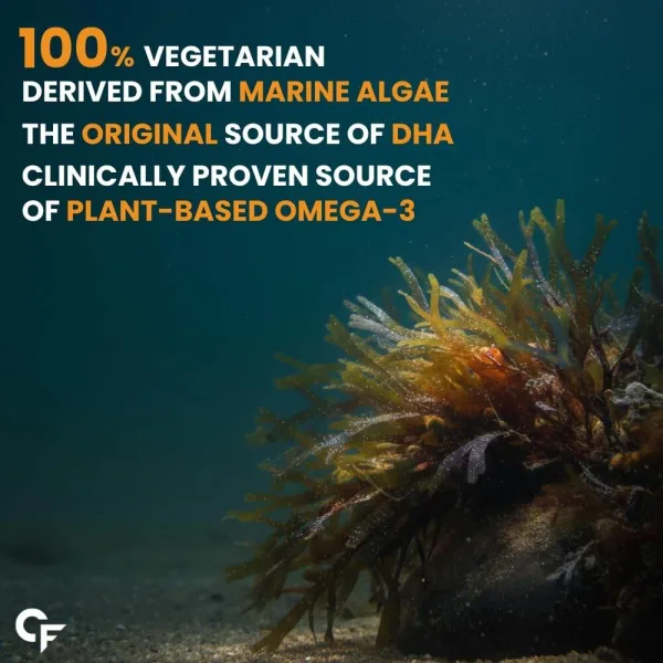 Vegan omega-3 supplement from marine algae bottle 120 capsules