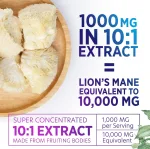 Vegetarian non-GMO lions mane mushroom nootropic capsules 60 count