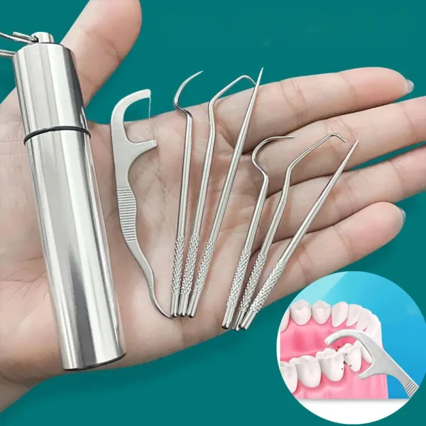 Waterproof toothpick case with polished stainless steel picks