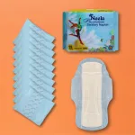 Neela Premium 290 mm sanitary pads for regular and heavy flow 10 pack