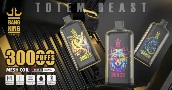 Bang King 30K Vape – 30,000 Puffs - Image 2