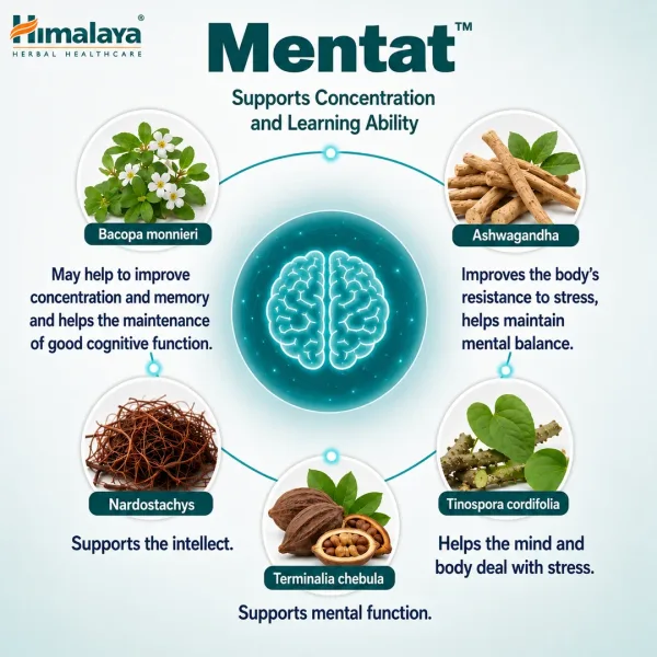 Himalaya Mentat 60 Tablets – Ayurvedic Support for Focus, Memory & Mental Wellness - Image 3