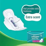 Whisper Maxi Fit L plus hypoallergenic sanitary napkins 15 pads