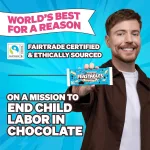 Feastables MrBeast cookies and creme chocolate bar 60g made in USA