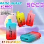 Bang Blaze BC 5000 Puffs – Rechargeable Disposable Vape
