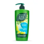 Follow Me Green Tea anti dandruff shampoo 650ml Malaysia