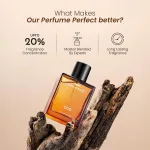 Park Avenue Oud Liquid Eau de Perfume for Men 100ml - Image 2