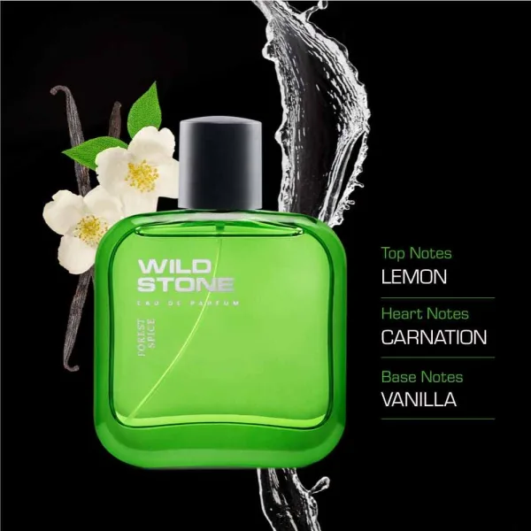 Wild Stone Forest Spice Premium Perfume for Men 100ml - Image 2