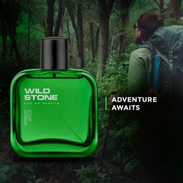Wild Stone Forest Spice Premium Perfume for Men 100ml - Image 3